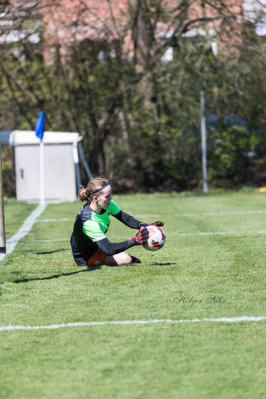 Bild 248 - wBJ Hamburger SV - WfL Wolfsburg : Ergebnis: 2:1